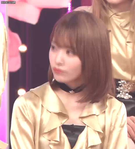 154984958579051.gif