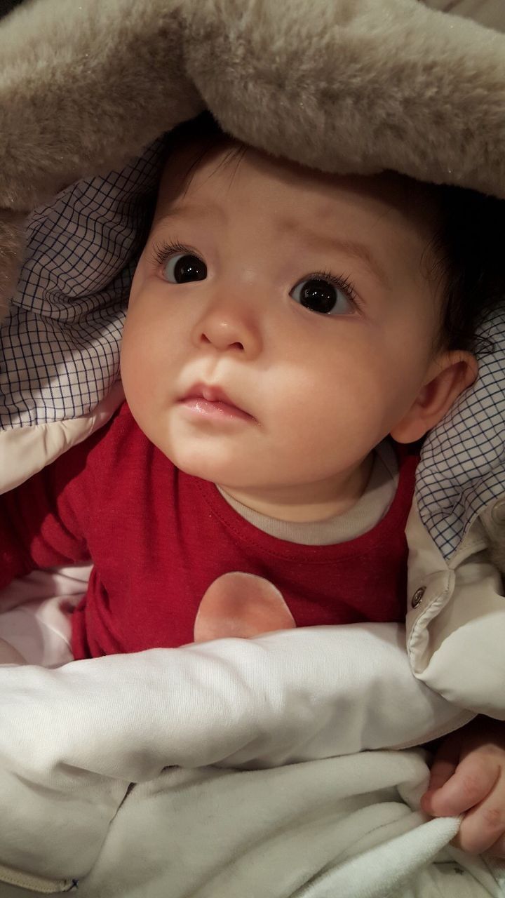 155023667082778.jpg