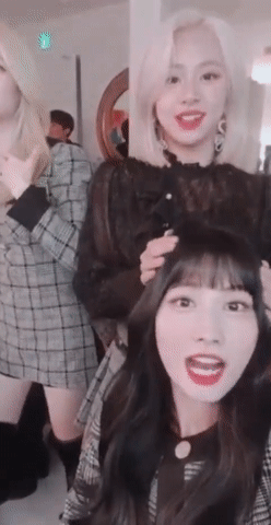 155182963537748.gif
