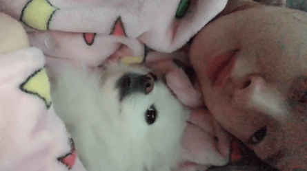 155194639698933.gif
