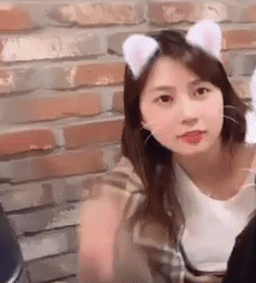 155407987380276.gif