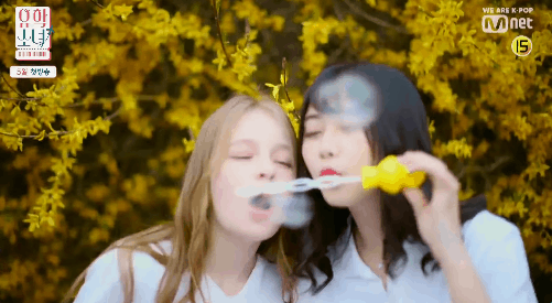 155566121961011.gif