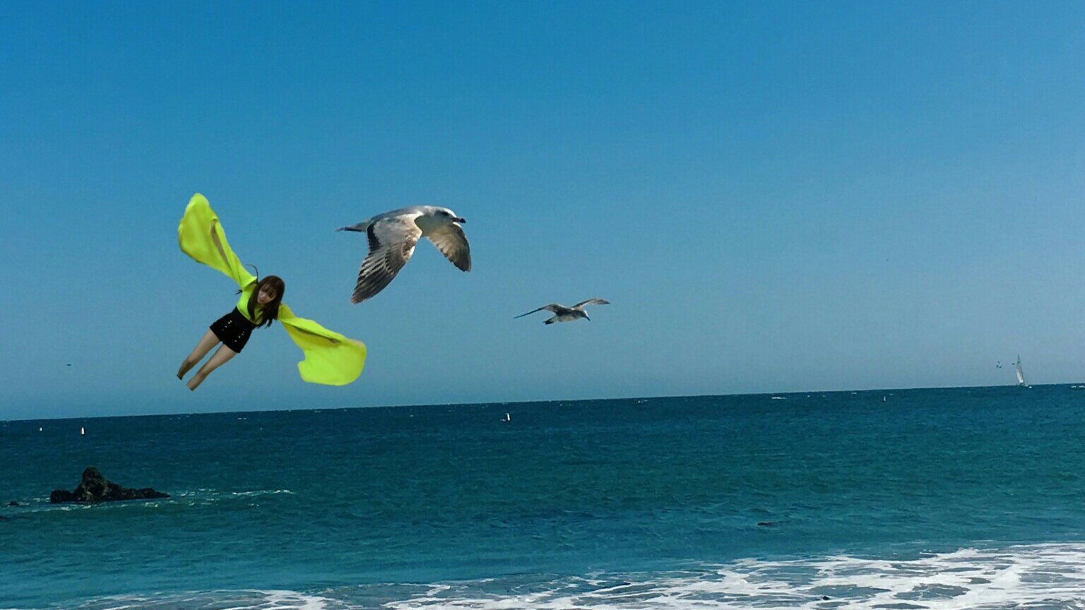 155571413794146.jpg