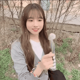 155666946789837.gif