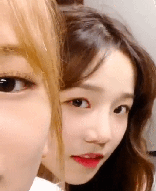 156227647865695.gif