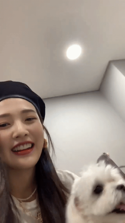 156904622796919.gif