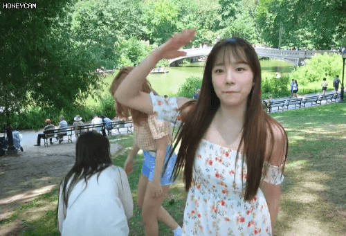 156904680138687.gif