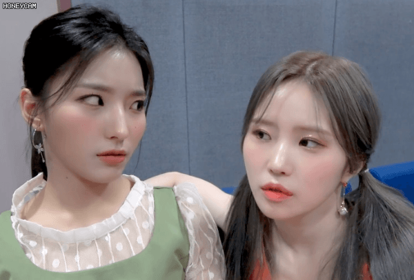 156945564849974.gif