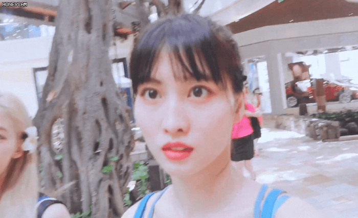 157999959632459.gif