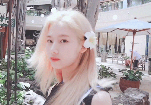 158008371424204.gif