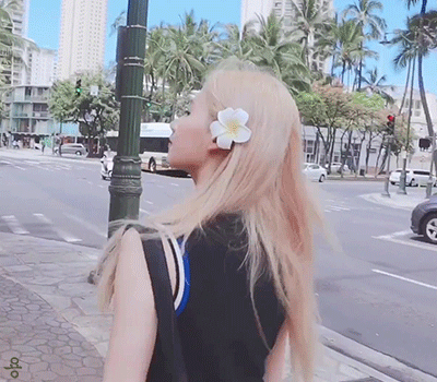 158008371592033.gif