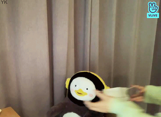 158493155860852.gif
