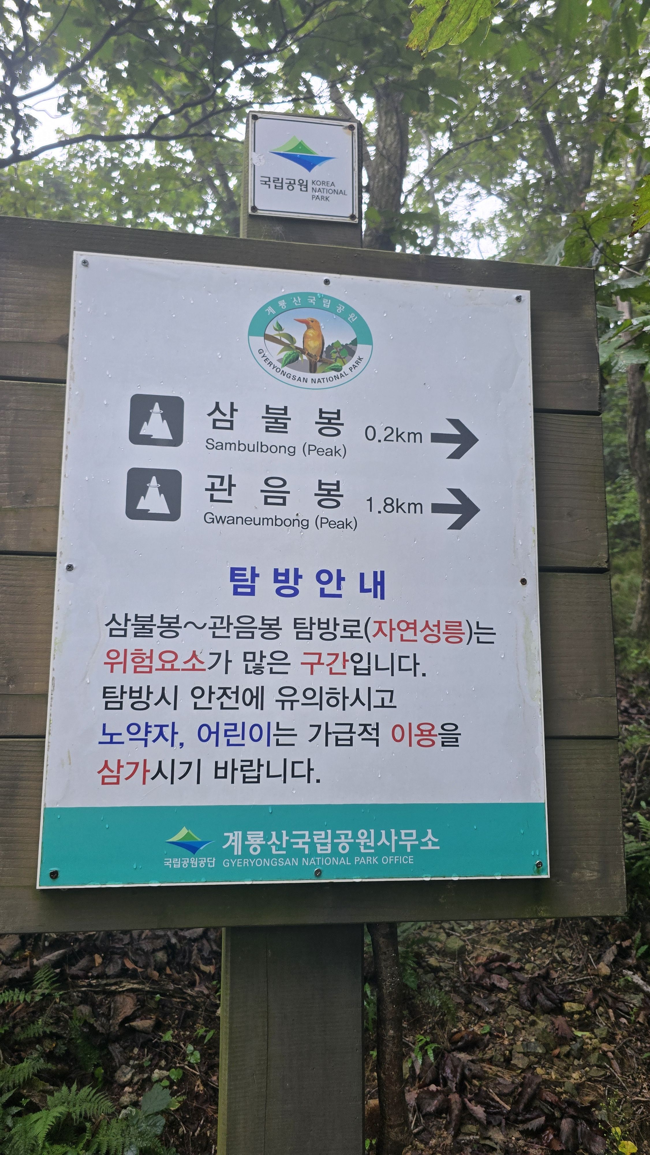 7525ea110599e808bf08be726ed98cae_851858.jpg