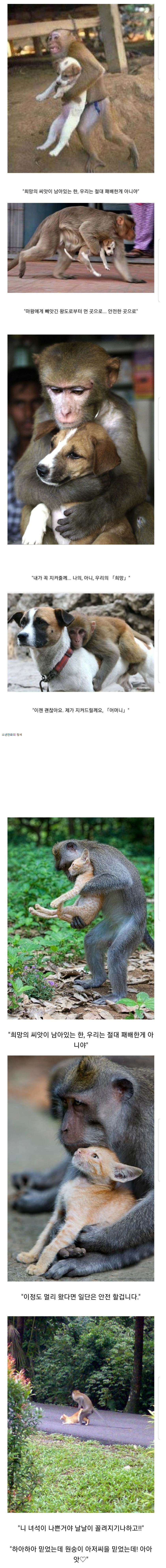 83d2f953d5b8d0db2a7f43896d4e1989_646282.png