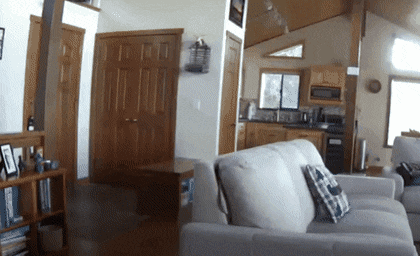 bcef3468971802bb6f0c391c9a41eb24_492224.gif