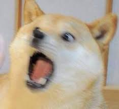e48018562cdbdb3379779951e057fd36_538222.jpg
