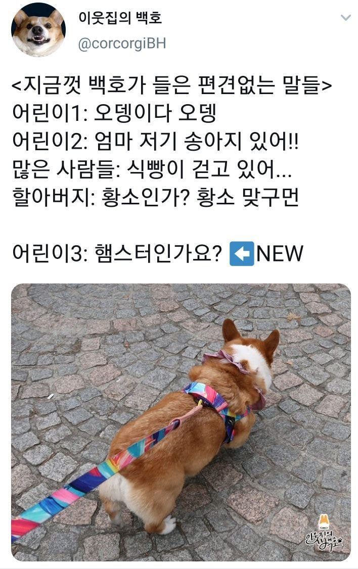 1d0771b592e1ed4cf50c12c2544270da_308034.jpeg
