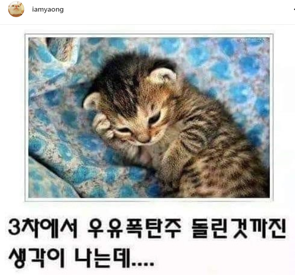 1fe5737412f1f91819830bb91040a8ac_589413.png