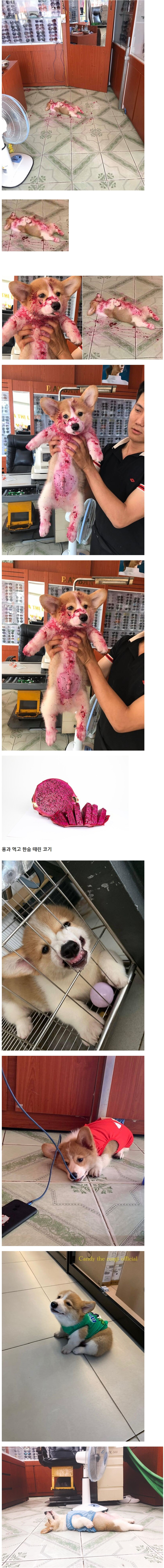 66e9ee3a86780aadbeef20d451a70b2e_382343.jpg