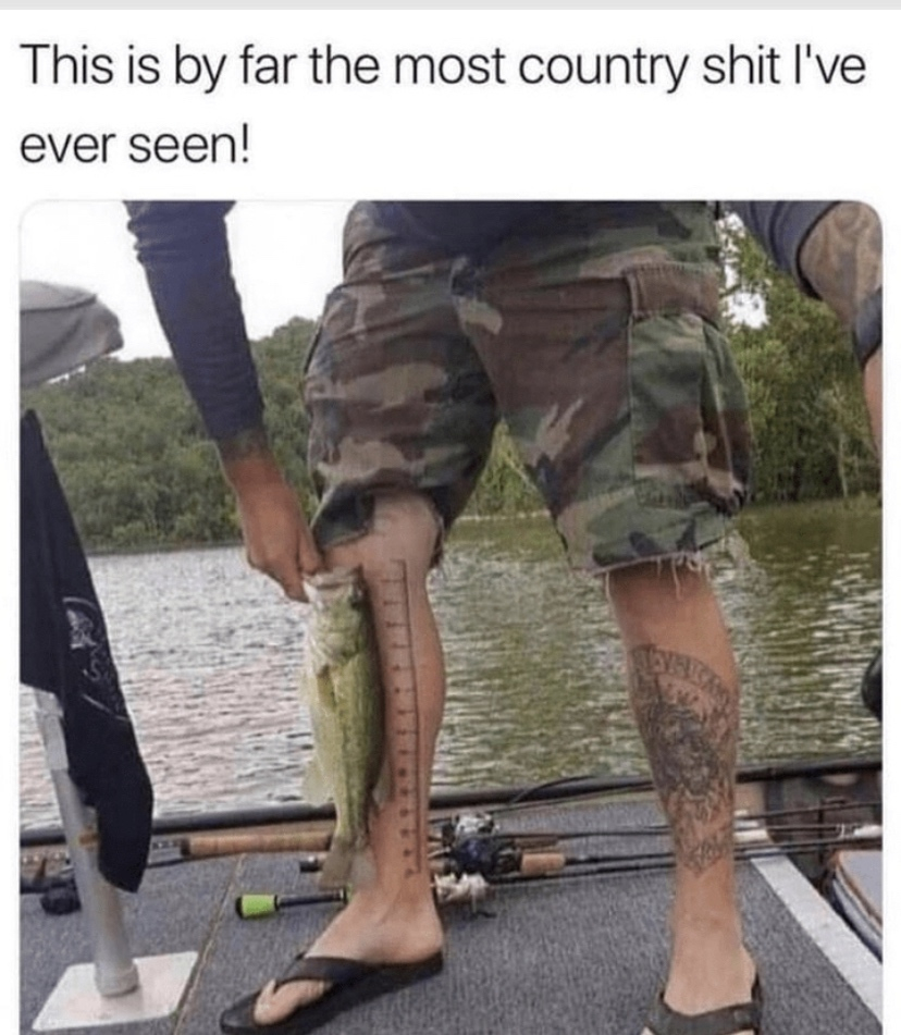 63f46c50ec082622468fb895cd1b4e2e_317255.jpg