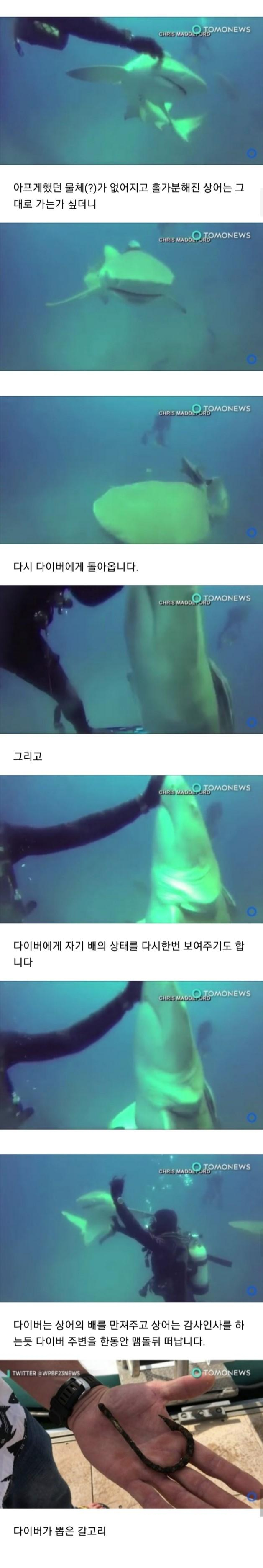 3a322785941fe47e02e4fb39b4099ff9_450705.jpg