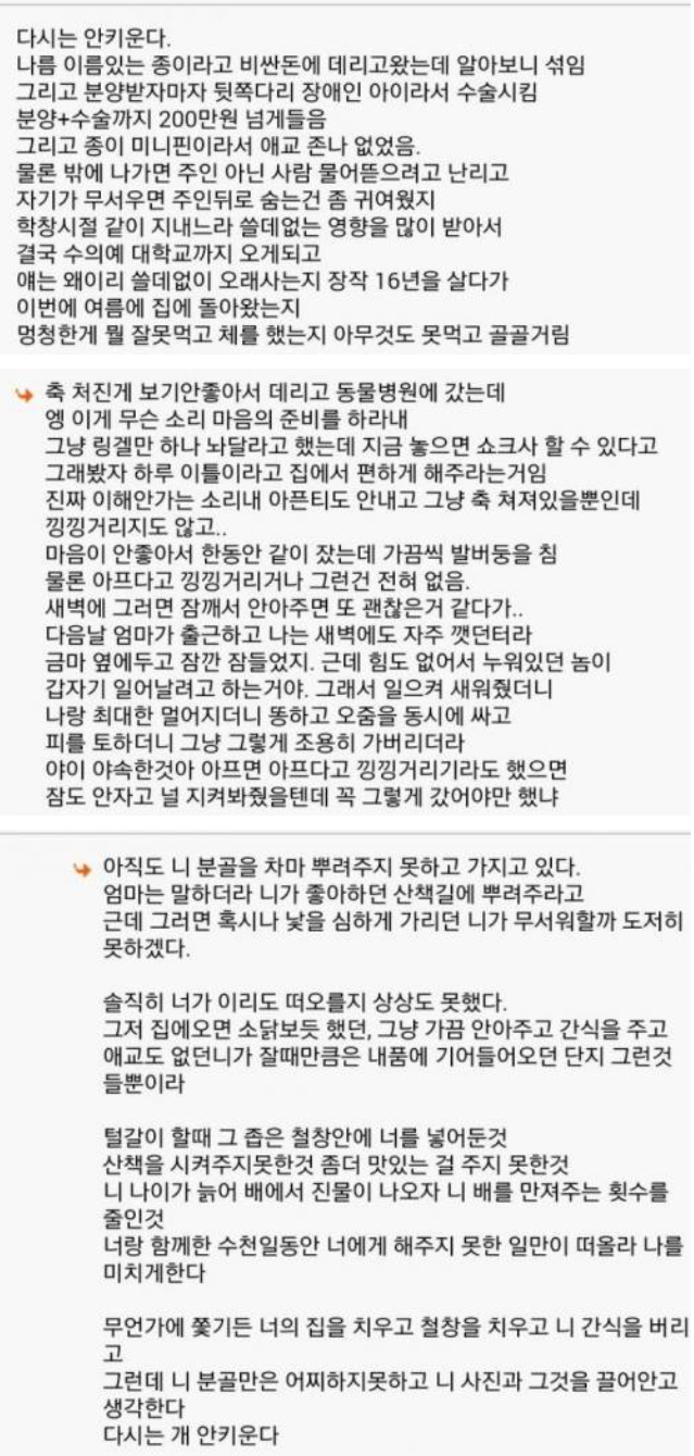 e4b293c0b657c7de5d409a4389a20a9d_628077.png