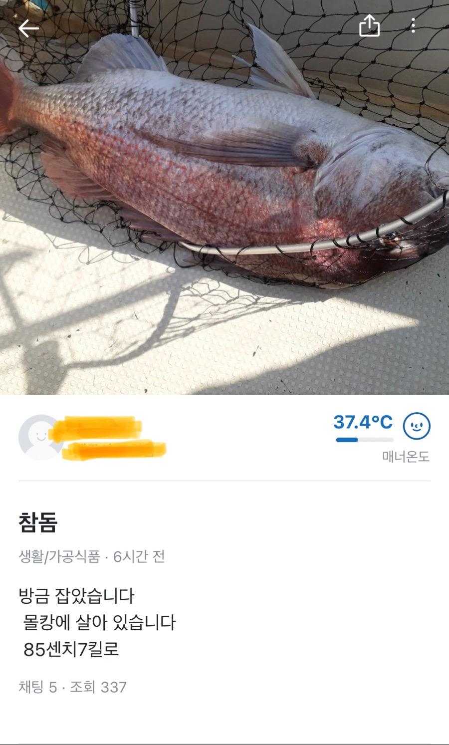 f099c1a556627a97ce0cf47ff16db576_897963.jpeg