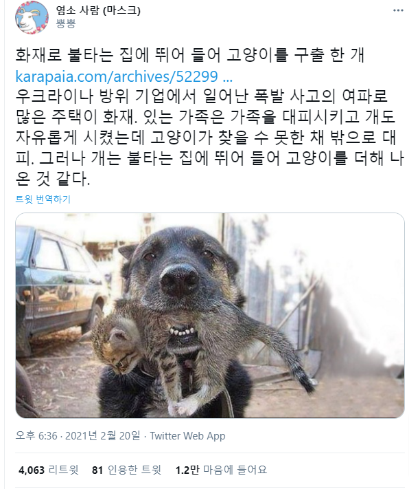 ab9fba20250669bf002983ca1751232b_906161.png