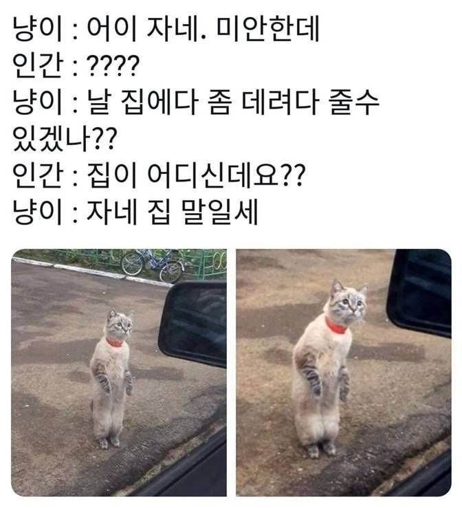 a777425dbbaf3076ad8a7996fb1ab305_655243.jpg