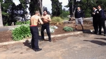 632cdff12e6a3ba07ec50b042a813054_851505.gif