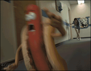 e9d2eaaa8ff68b37042cde2647524abf_882445.gif