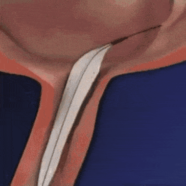 2dcc3dd429d6b0c7709ce0568f7f99b9_266560.gif