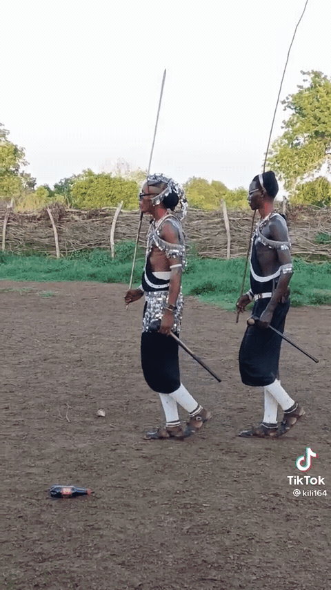 7b85b1d91dba10bf594155b97ebda1d6_192224.gif