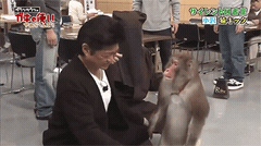 c0c71d135437acc27016724e31561e0c_739107.gif