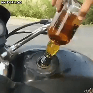 9421d8696a28866d884dabe1811bd0fa_352042.gif