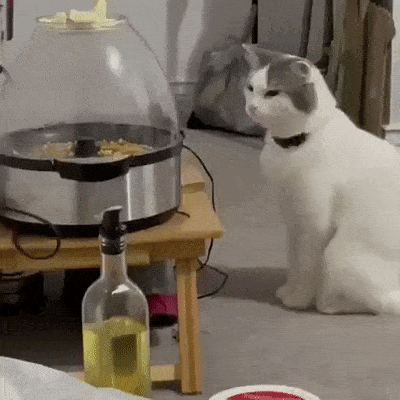 74e3462bd58b41a43b89e1da9ef76c6f_142395.gif