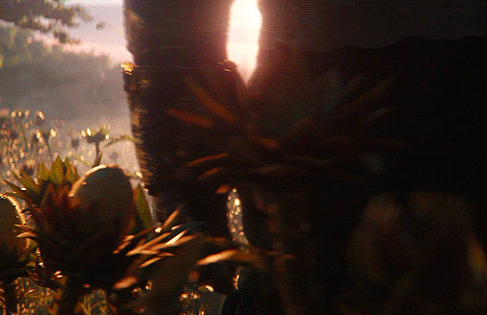 5b57932acfaea968743b7dce000e8f21_864073.gif