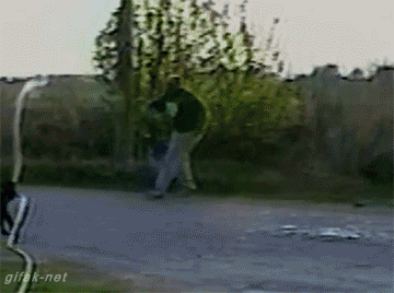 92361036903e88c3fa134275df9b4c3e_427153.gif