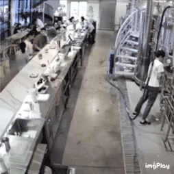 aca3594923ea1bb8c32669394140de7c_513090.gif
