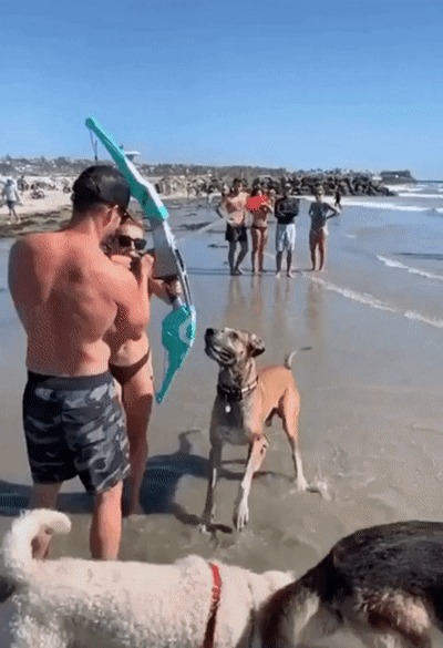 b4f96f73d4296550c021b04124584429_698361.gif
