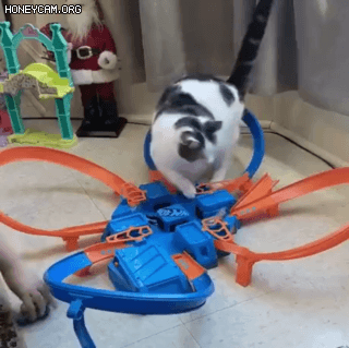 074260863b20adba4e22a86906fa991b_867223.gif