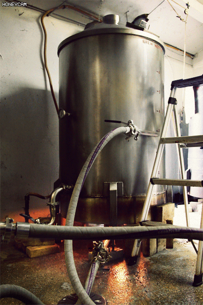e1979257ba502f6be084c955cc3bcbe3_585401.gif