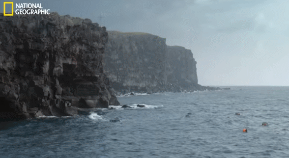 1ffc4139b539510d1c4e414fffcb9ac0_290439.gif