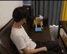 3c84f6587fffe10b3de403f2fc7010da_229807.gif