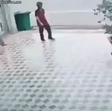 658299933bbce399dd683b5fb885c4e3_437636.gif
