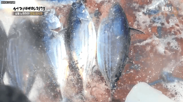 0f1f64bca25a26a04febaf9ec21e6f4c_684748.gif