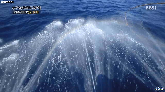 1875ec871b0241f9d34f51ce837e922c_972054.gif