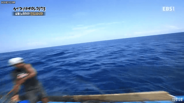 b385eae2c113cb051f6eeccf2ca95b54_575690.gif