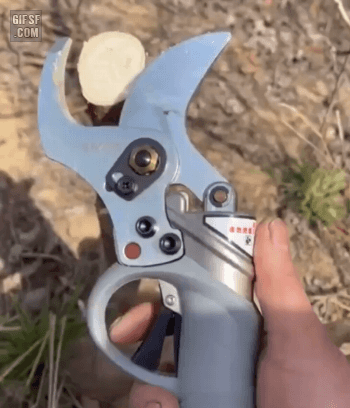 a64330a3207c1df96ebddccf99317ad1_471779.gif