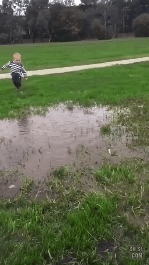 912c213a97cc80bc4fec0882f4bebeae_284967.gif